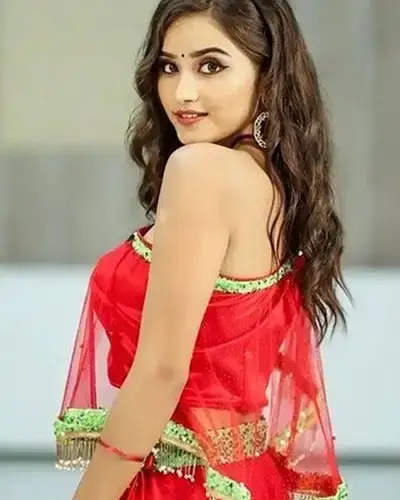 Call Girls Service Gondiya